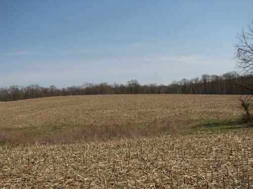 Property photo 19 - 137 Acres in 2 Tracts - 64 Tillable Acres, Potential Building Sites, Hunting
